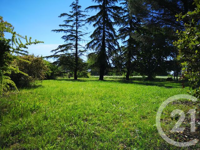 Afficher la photo en grand terrain à vendre - 1200.0 m2 - GAILLAC - 81 - MIDI-PYRENEES - Century 21 Actif Immobilier