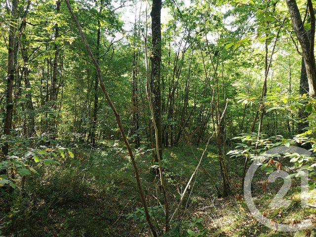Afficher la photo en grand terrain à vendre - 4090.0 m2 - LISLE SUR TARN - 81 - MIDI-PYRENEES - Century 21 Actif Immobilier