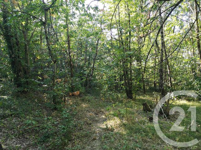 Afficher la photo en grand terrain à vendre - 4090.0 m2 - LISLE SUR TARN - 81 - MIDI-PYRENEES - Century 21 Actif Immobilier