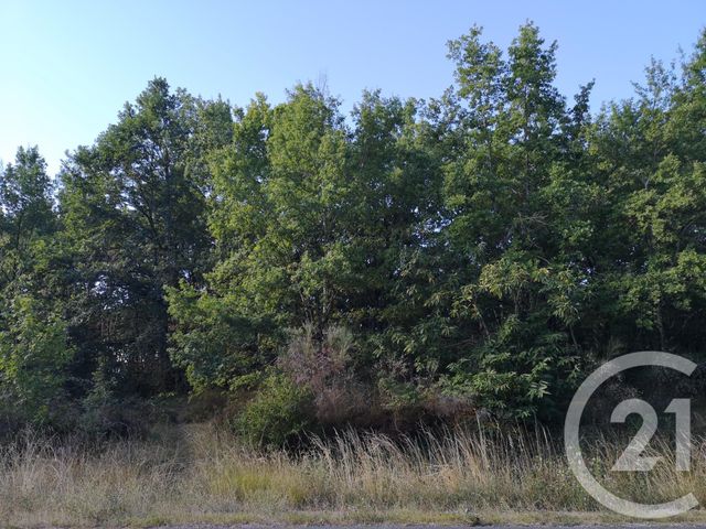 Afficher la photo en grand terrain à vendre - 4090.0 m2 - LISLE SUR TARN - 81 - MIDI-PYRENEES - Century 21 Actif Immobilier