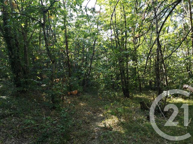 Afficher la photo en grand terrain à vendre - 4090.0 m2 - LISLE SUR TARN - 81 - MIDI-PYRENEES - Century 21 Actif Immobilier