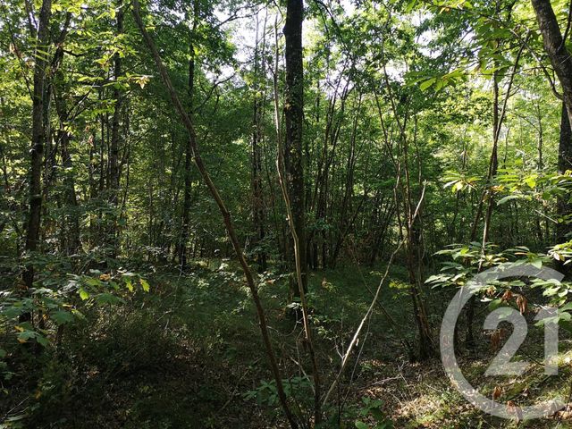 Afficher la photo en grand terrain à vendre - 4090.0 m2 - LISLE SUR TARN - 81 - MIDI-PYRENEES - Century 21 Actif Immobilier