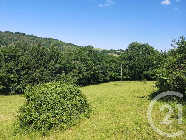 Afficher la photo en grand terrain à vendre - 22615.0 m2 - PUYCELSI - 81 - MIDI-PYRENEES - Century 21 Actif Immobilier