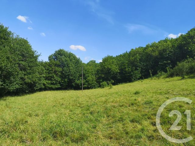 Afficher la photo en grand terrain à vendre - 22615.0 m2 - PUYCELSI - 81 - MIDI-PYRENEES - Century 21 Actif Immobilier