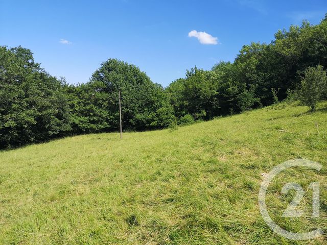 Afficher la photo en grand terrain à vendre - 22615.0 m2 - PUYCELSI - 81 - MIDI-PYRENEES - Century 21 Actif Immobilier