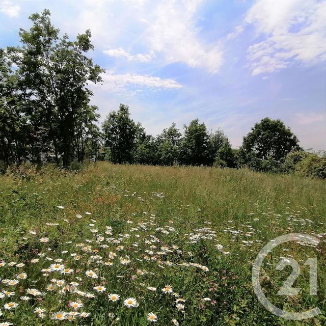 terrain à vendre - 1254.0 m2 - TECOU - 81 - MIDI-PYRENEES - Century 21 Actif Immobilier
