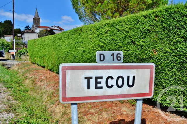 Afficher la photo en grand terrain à vendre - 662.0 m2 - TECOU - 81 - MIDI-PYRENEES - Century 21 Actif Immobilier
