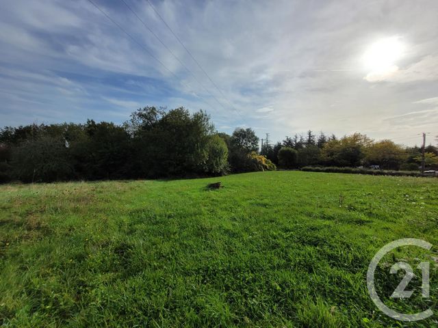 Afficher la photo en grand maison à vendre - 3 pièces - 64.37 m2 - PUYCELSI - 81 - MIDI-PYRENEES - Century 21 Actif Immobilier