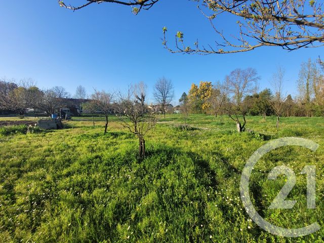 terrain - GAILLAC - 81