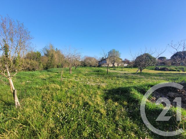 terrain à vendre - 1598.0 m2 - GAILLAC - 81 - MIDI-PYRENEES - Century 21 Actif Immobilier