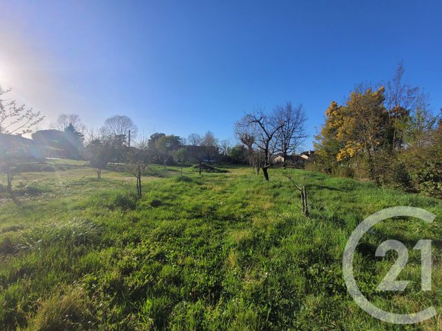 terrain à vendre - 1598.0 m2 - GAILLAC - 81 - MIDI-PYRENEES - Century 21 Actif Immobilier