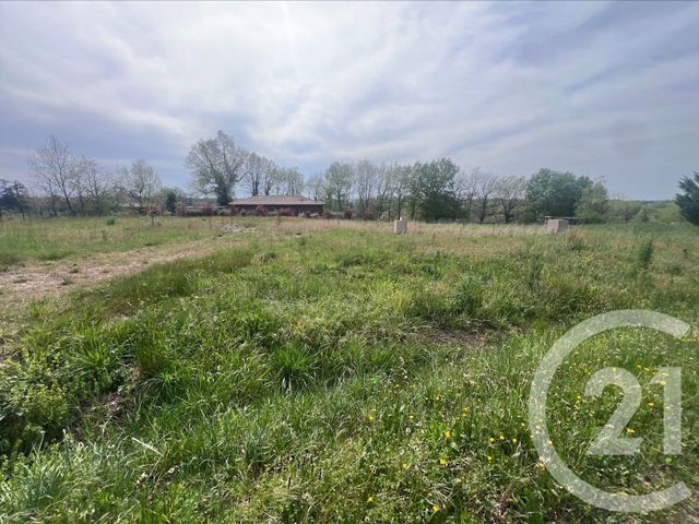 terrain - MONCLAR DE QUERCY - 82