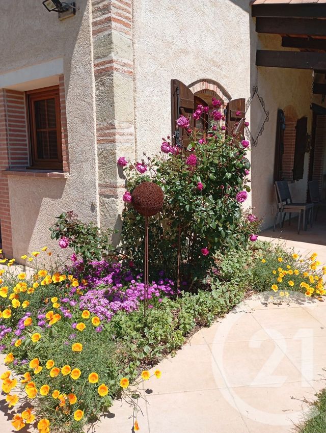 maison à vendre - 8 pièces - 178.43 m2 - MONTGAILLARD - 81 - MIDI-PYRENEES - Century 21 Actif Immobilier