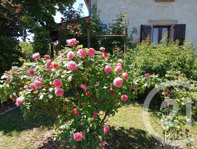 maison à vendre - 8 pièces - 178.43 m2 - MONTGAILLARD - 81 - MIDI-PYRENEES - Century 21 Actif Immobilier