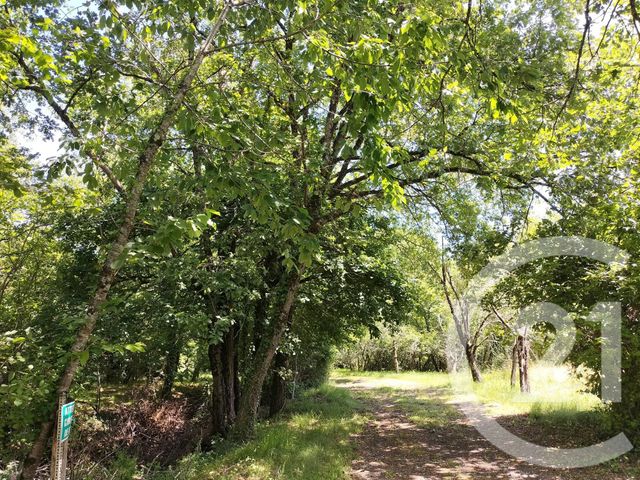 maison à vendre - 4 pièces - 95.5 m2 - GRAZAC - 81 - MIDI-PYRENEES - Century 21 Actif Immobilier