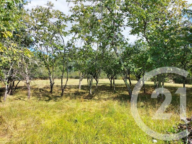 maison à vendre - 4 pièces - 95.5 m2 - GRAZAC - 81 - MIDI-PYRENEES - Century 21 Actif Immobilier