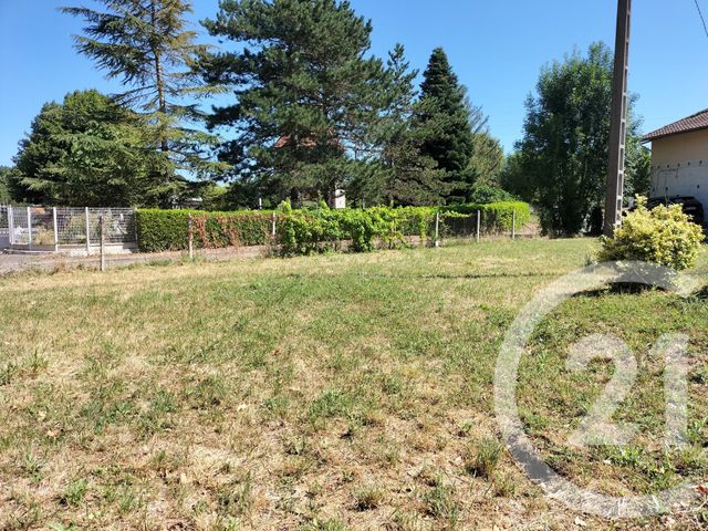 terrain - GAILLAC - 81