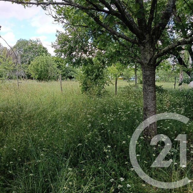 maison à vendre - 5 pièces - 204.72 m2 - GIROUSSENS - 81 - MIDI-PYRENEES - Century 21 Actif Immobilier