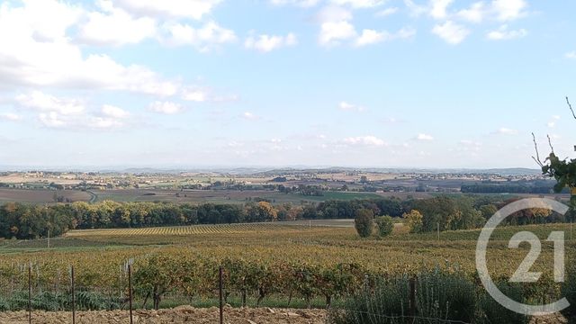 terrain - FAYSSAC - 81