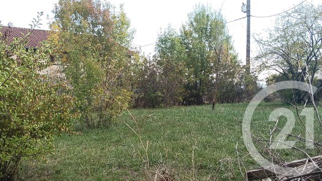 Afficher la photo en grand terrain à vendre - 1000.0 m2 - FAYSSAC - 81 - MIDI-PYRENEES - Century 21 Actif Immobilier