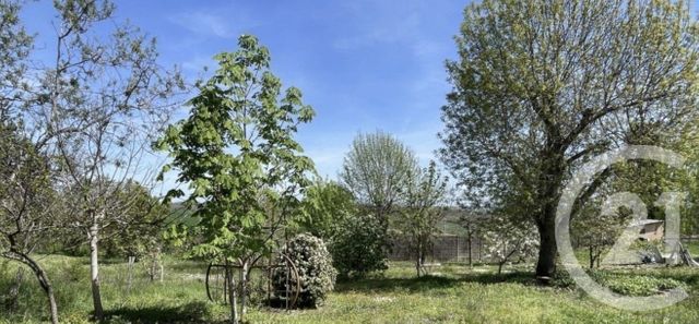 terrain à vendre - 1230.0 m2 - SENOUILLAC - 81 - MIDI-PYRENEES - Century 21 Actif Immobilier
