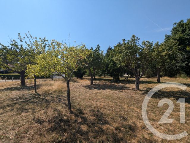 terrain à vendre - 700.0 m2 - GAILLAC - 81 - MIDI-PYRENEES - Century 21 Actif Immobilier