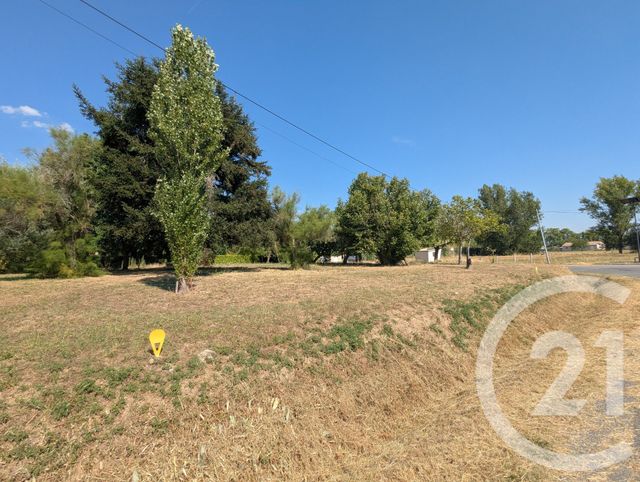 terrain - GAILLAC - 81