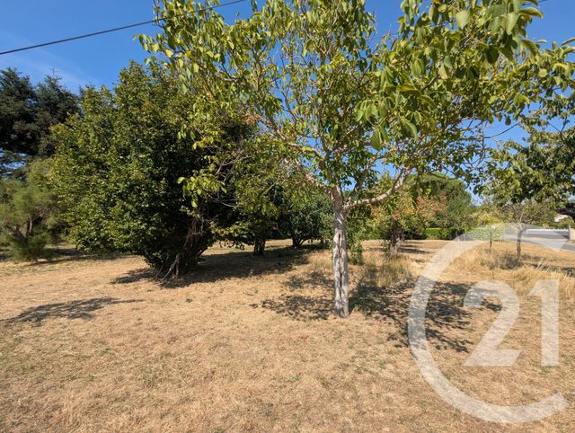 terrain à vendre - 700.0 m2 - GAILLAC - 81 - MIDI-PYRENEES - Century 21 Actif Immobilier