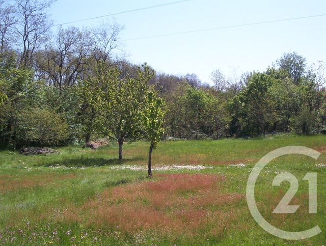terrain à vendre - 850.0 m2 - MONTANS - 81 - MIDI-PYRENEES - Century 21 Actif Immobilier