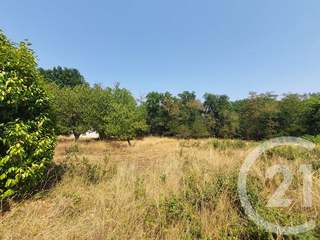 terrain à vendre - 850.0 m2 - MONTANS - 81 - MIDI-PYRENEES - Century 21 Actif Immobilier