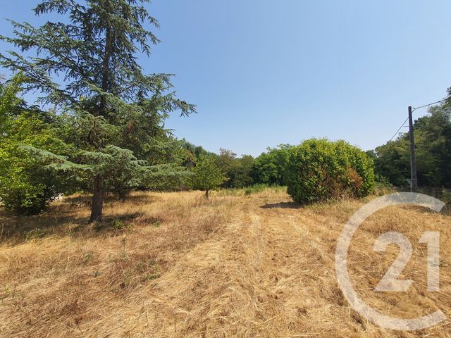 terrain à vendre - 760.0 m2 - MONTANS - 81 - MIDI-PYRENEES - Century 21 Actif Immobilier