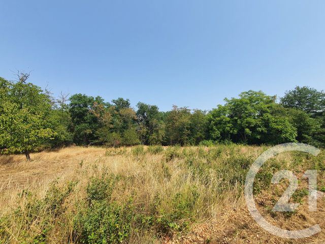 terrain à vendre - 860.0 m2 - MONTANS - 81 - MIDI-PYRENEES - Century 21 Actif Immobilier