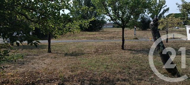 terrain à vendre - 700.0 m2 - GAILLAC - 81 - MIDI-PYRENEES - Century 21 Actif Immobilier