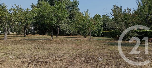 terrain à vendre - 700.0 m2 - GAILLAC - 81 - MIDI-PYRENEES - Century 21 Actif Immobilier