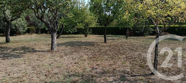 terrain à vendre - 700.0 m2 - GAILLAC - 81 - MIDI-PYRENEES - Century 21 Actif Immobilier