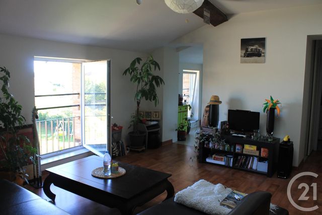 appartement - GAILLAC - 81